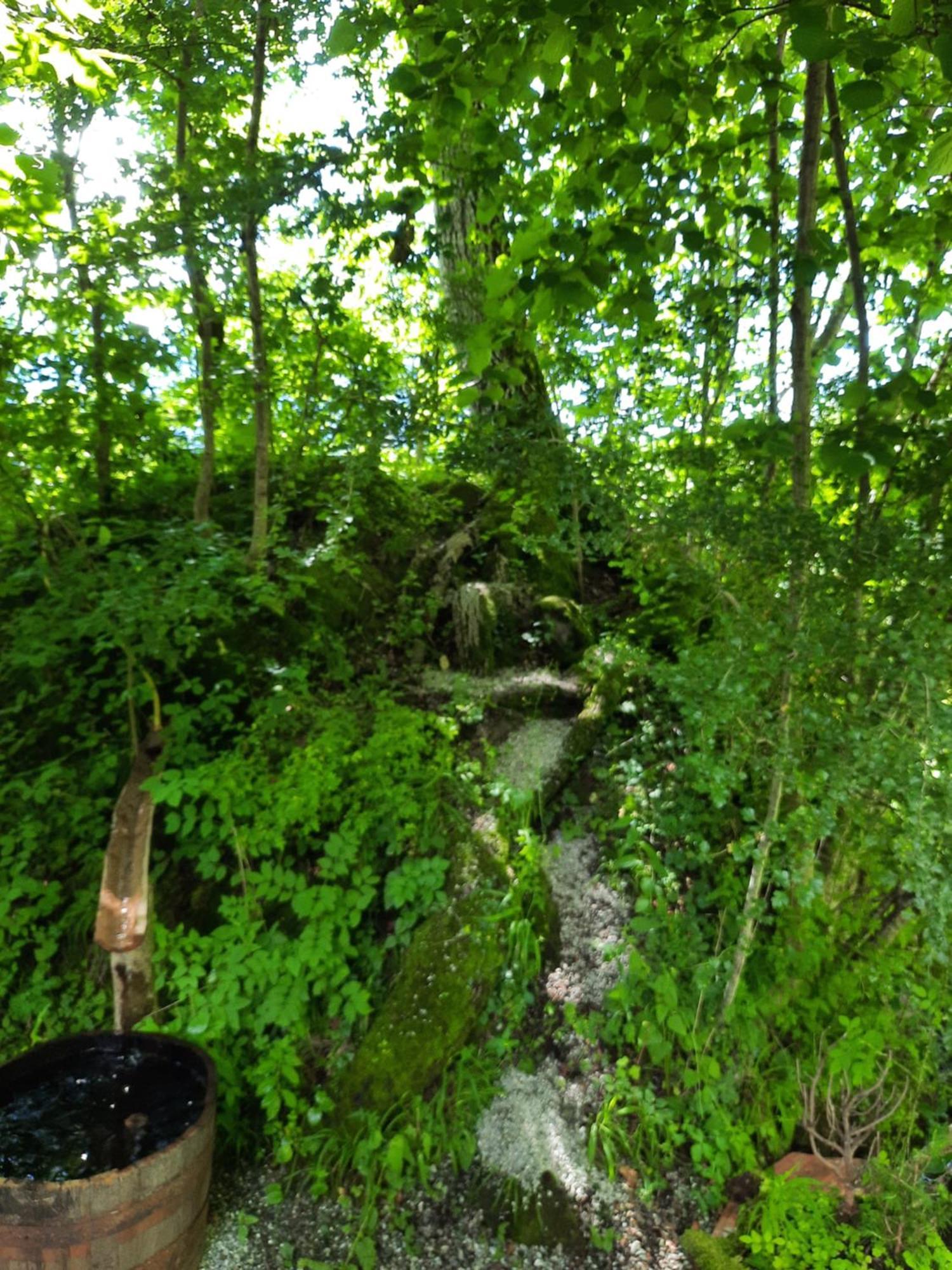 Panorama Jurte Ueber Dem Uri-See A Sisikon Buitenkant foto