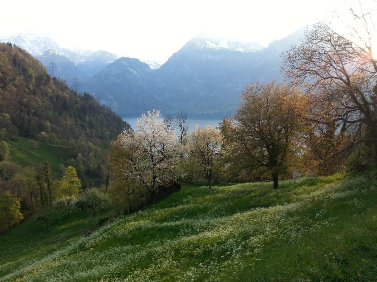 Panorama Jurte Ueber Dem Uri-See A Sisikon Buitenkant foto