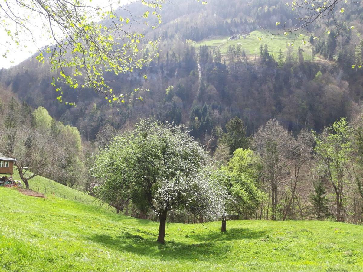Panorama Jurte Ueber Dem Uri-See A Sisikon Buitenkant foto