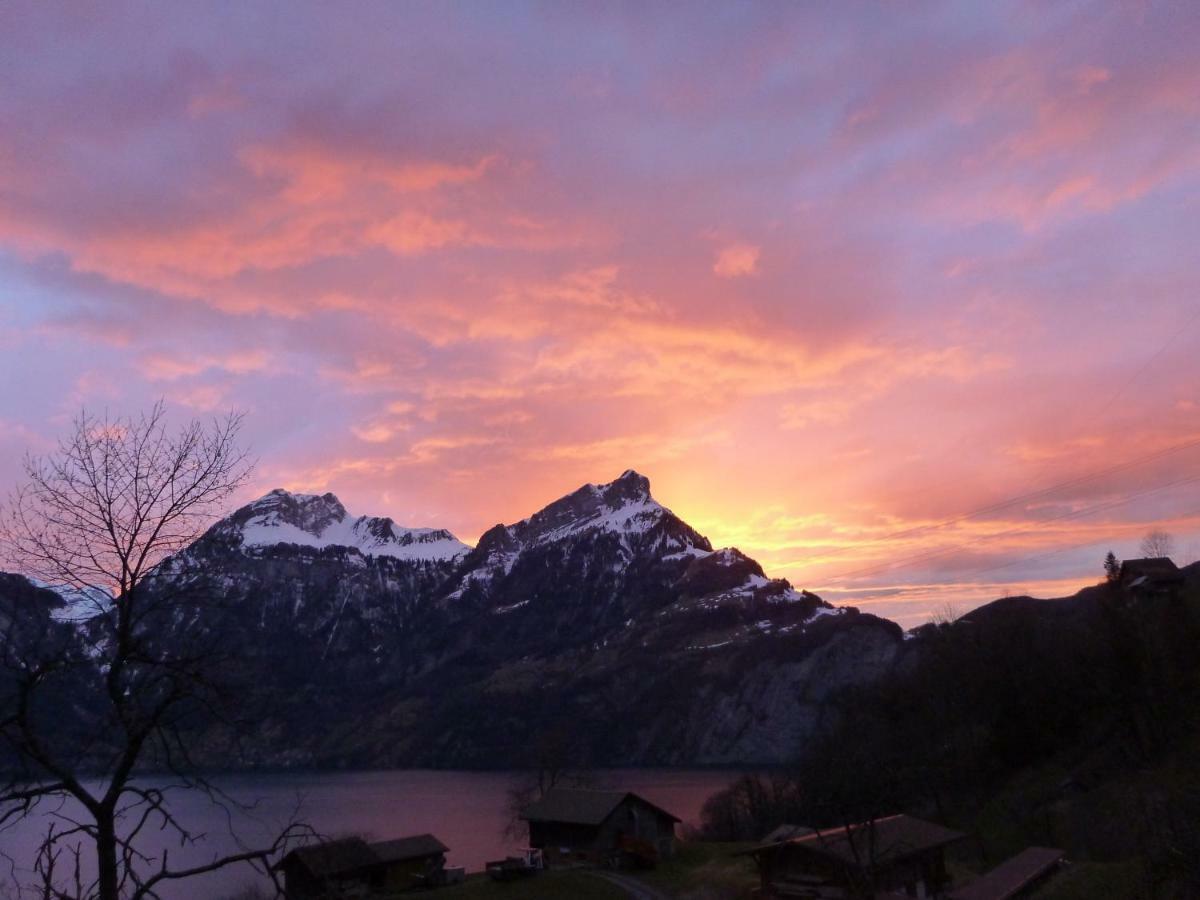 Panorama Jurte Ueber Dem Uri-See A Sisikon Buitenkant foto