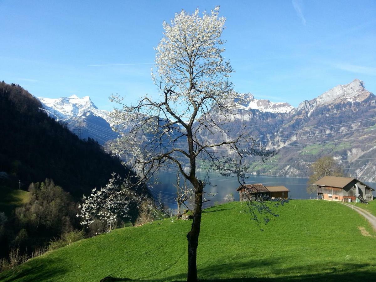 Panorama Jurte Ueber Dem Uri-See A Sisikon Buitenkant foto