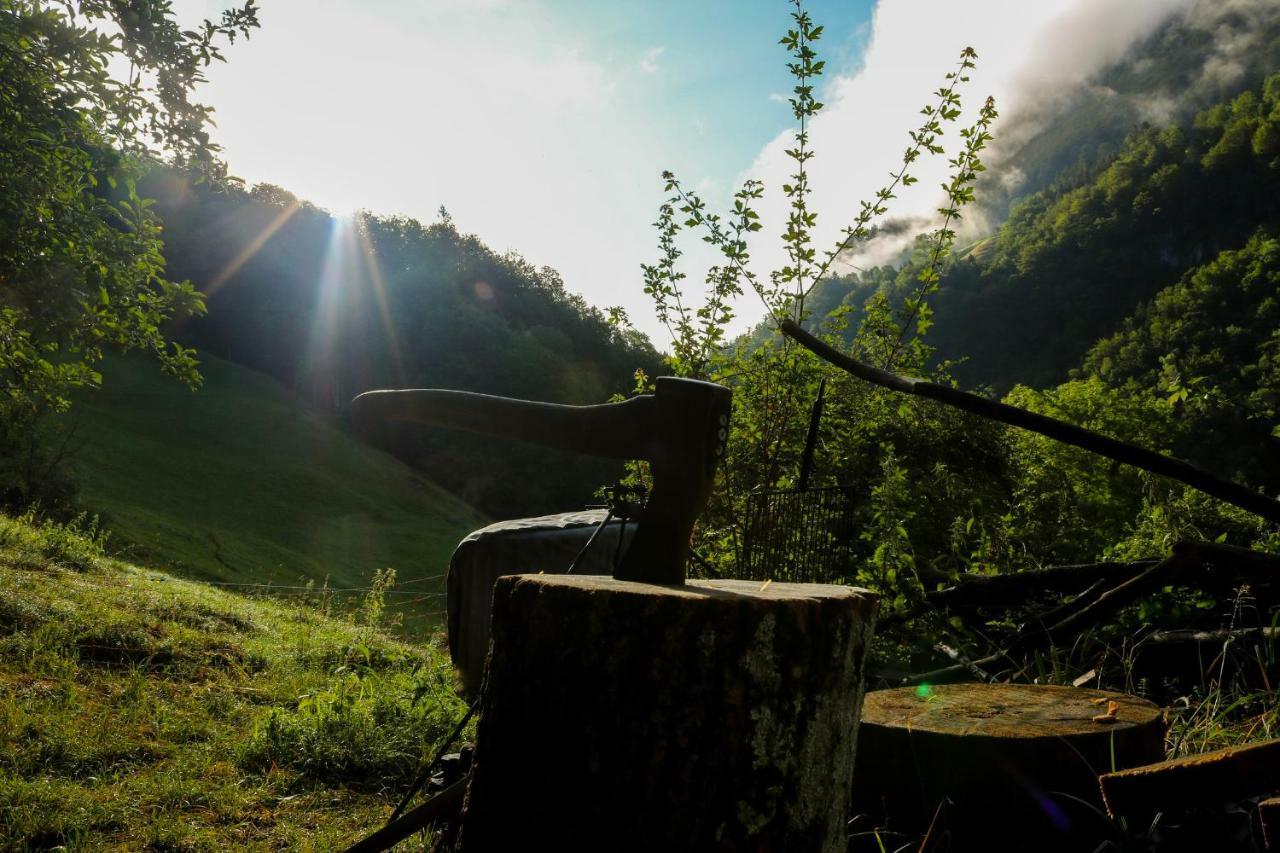 Panorama Jurte Ueber Dem Uri-See A Sisikon Buitenkant foto